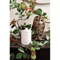 Jo Malone London | Wild Berry & Bramble Candle