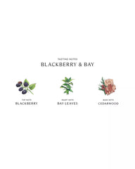 Jo Malone London | Blackberry & Bay Cologne