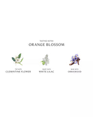 Jo Malone London | Orange Blossom Diffuser