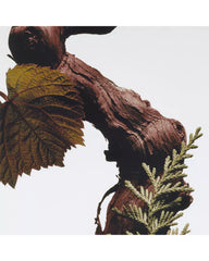 Jo Malone London | Cypress & Grapevine Body Spray 4.2 oz.